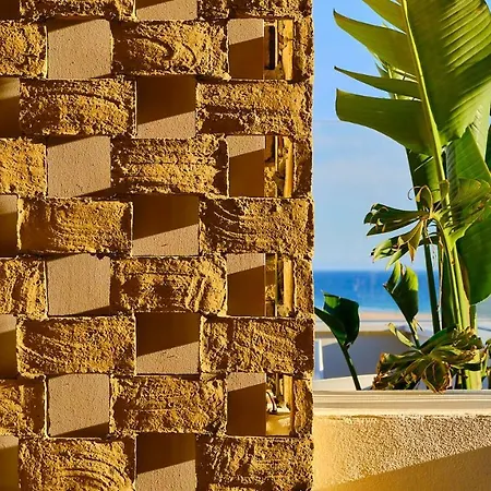 Campito * コニル・デ・ラ・フロンテラ