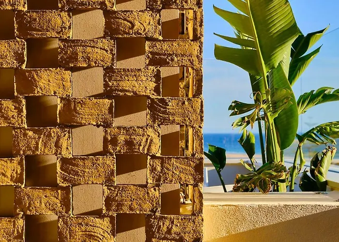 Campito * Кониль-де-ла-Фронтера