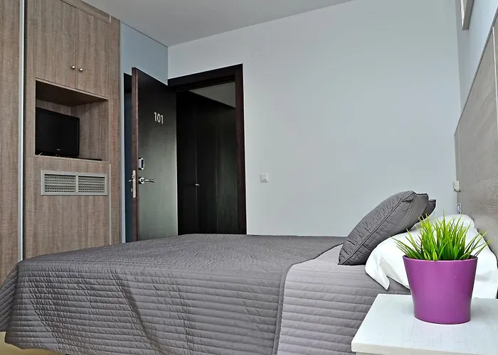 Campito * コニル・デ・ラ・フロンテラ