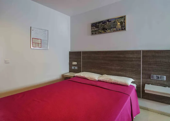 Campito * コニル・デ・ラ・フロンテラ